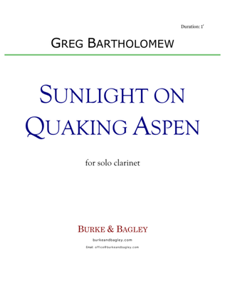 Book cover for Sunlight on Quaking Aspen for solo clarinet