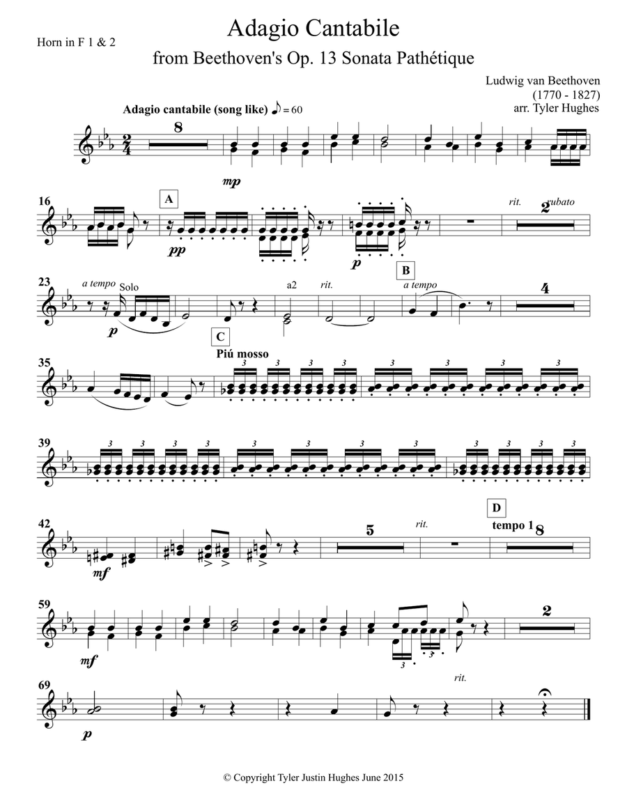 Adagio Cantabile for Orchestra from Beethoven Sonata Pathétique Parts Chamber Orchestra scores gallery preview page 5