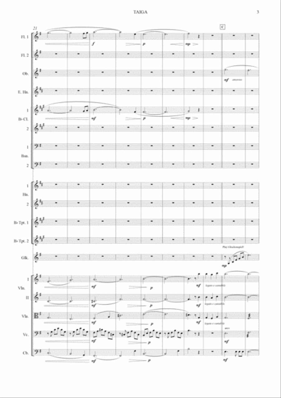 Taiga Full Orchestra scores gallery preview page 5