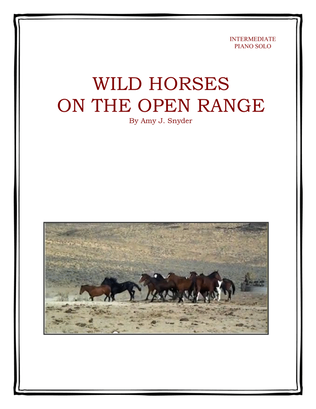 Book cover for Wild Horses on the Open Range, piano solo