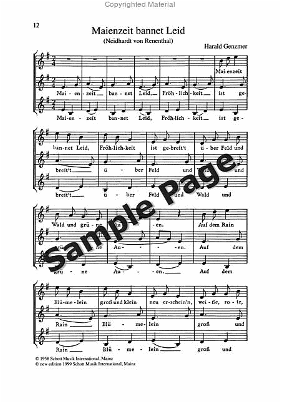 Roller Coaster Ride Roller Coaster Ride Piano Solo scores gallery preview page 13