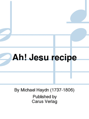 Ah! Jesu recipe (Aria de Passione Domine et Adventu (Ihr Himmel taut herab))