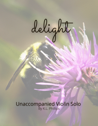 Book cover for Delight - Unaccompanied Violin Solo