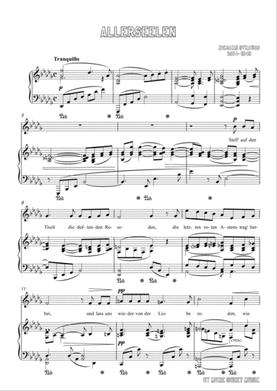 Richard Strauss-Allerseelen in D flat Major,for Voice and Piano Voice Solo scores gallery preview page 3