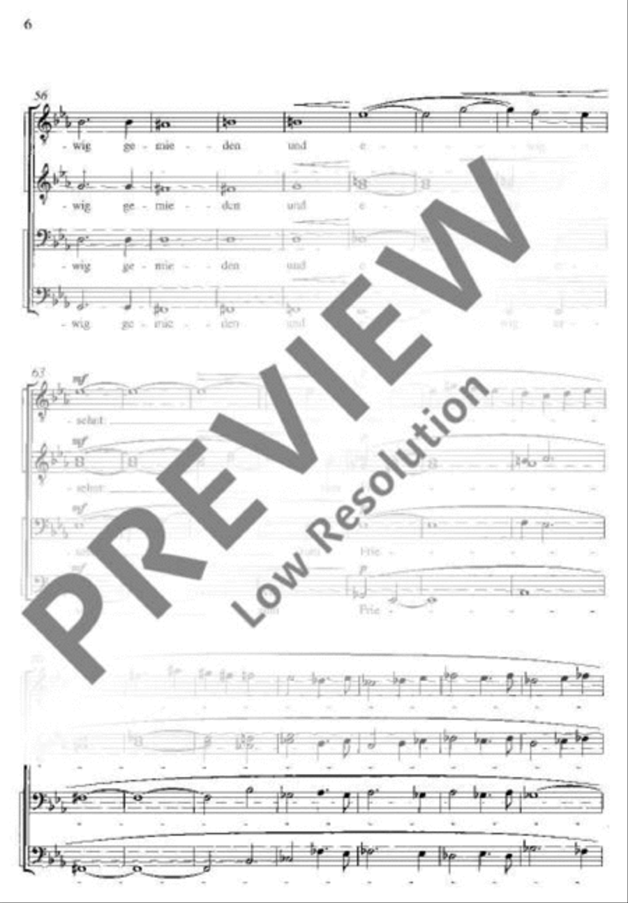 Durch Einsamkeiten Durch Einsamkeiten TTBB scores gallery preview page 7