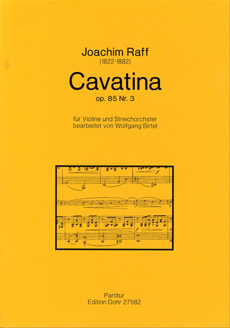 Cavatina für Violine und Streichorchester op. 85/3 String Orchestra scores gallery preview page 1