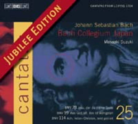 Volume 25: Cantatas BWV 78, 99, 11