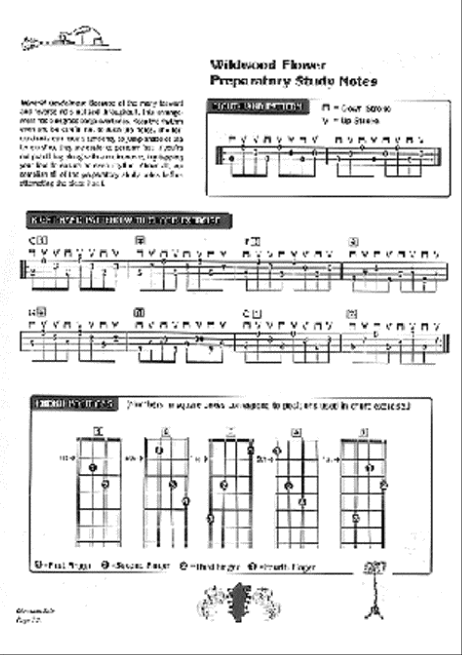 Mandolin Crosspicking Technique Mandolin scores gallery preview page 2