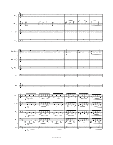 Violin Concerto in D major Op. 77