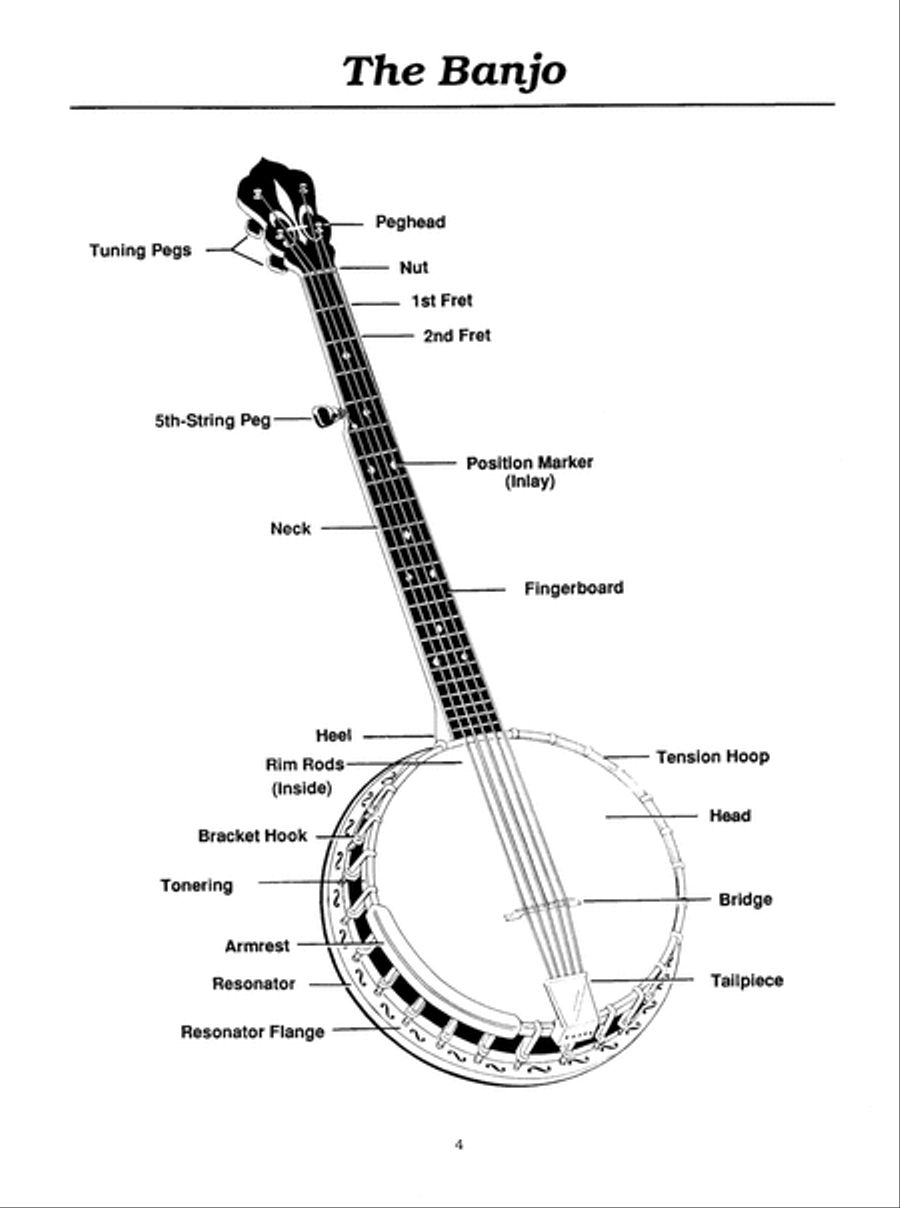 You can teach yourself banjo top
