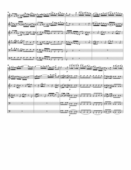 Brandenburg concerto no.6, BWV 1051 (arrangement for 6 recorders)