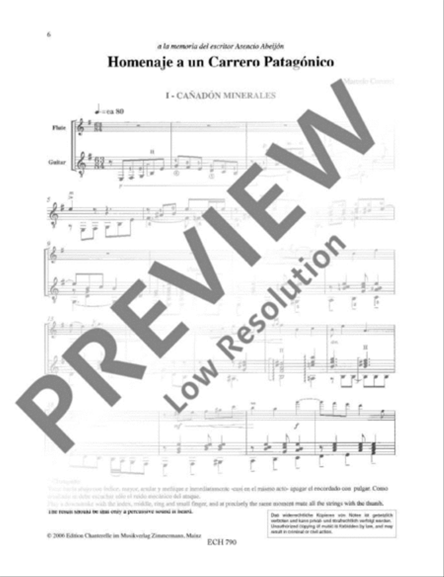 Homenaje a un Carrero Patagónico Flute scores gallery preview page 7