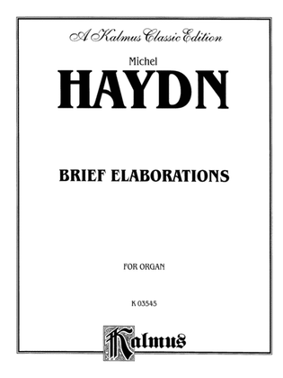 Book cover for Haydn: Brief Elaborations