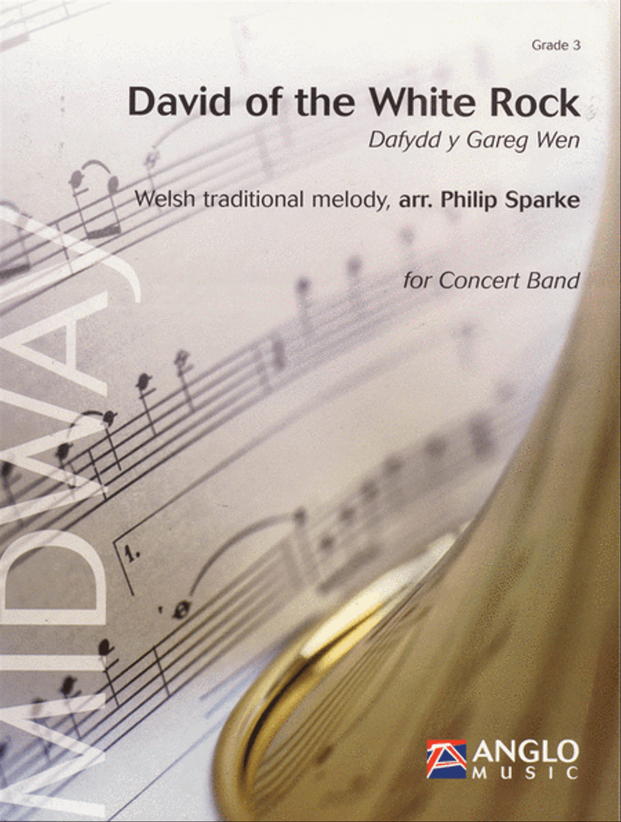 Book cover for David of the White Rock (Dafydd y Gareg Wen)