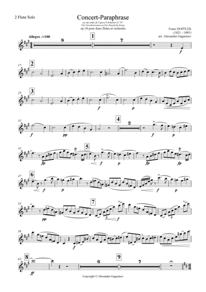 Concert-Paraphrase, Op.18, for 2 Flutes and Orchestra (arr.), Set of Parts
