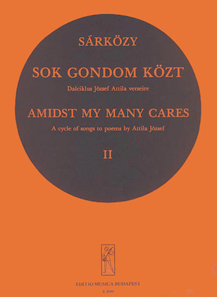 Book cover for Sok Gondom KOzt
