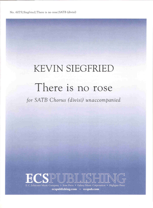 Book cover for There Is No Rose