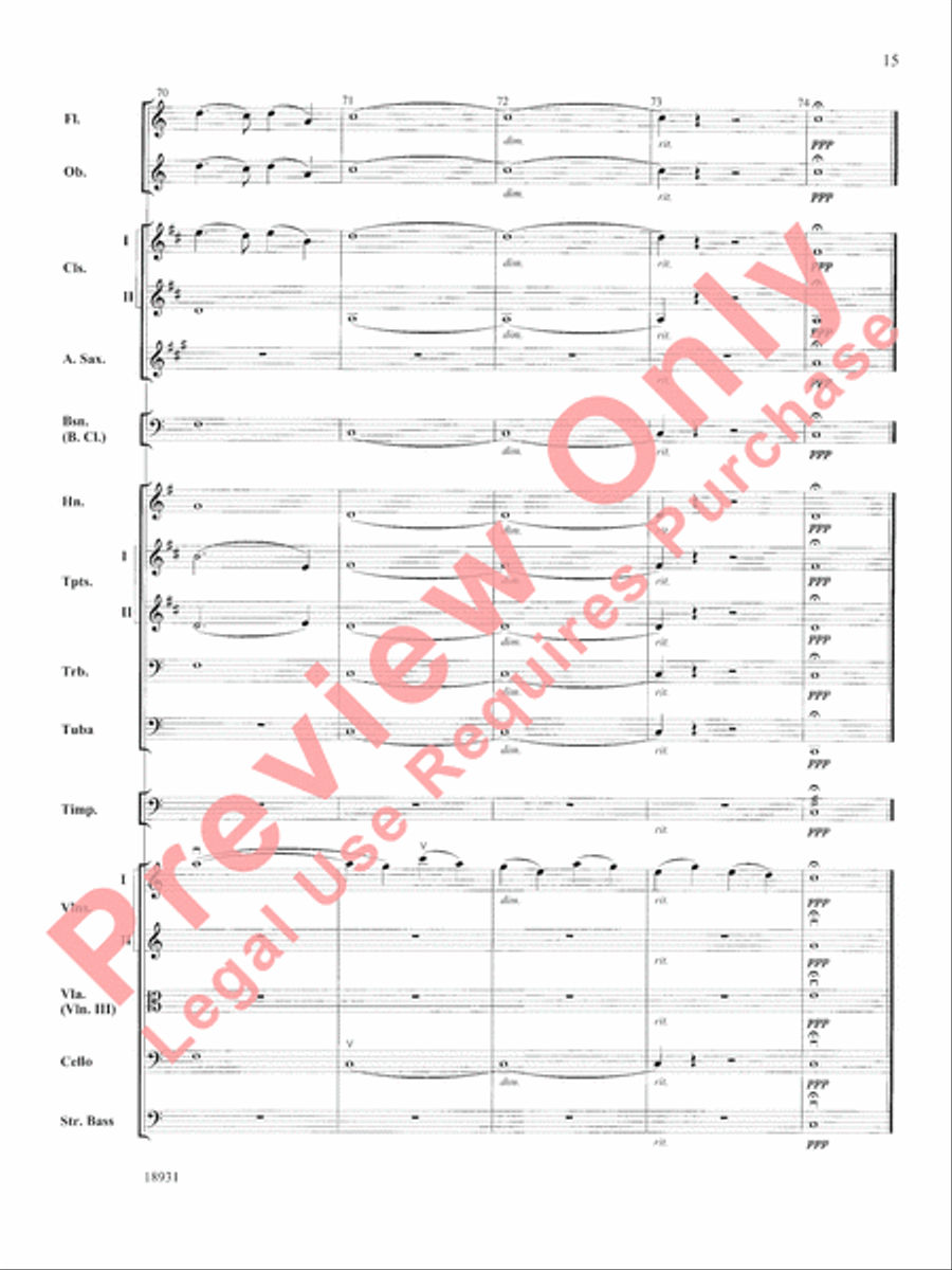 Largo Largo Full Orchestra scores gallery preview page 16