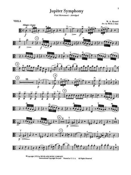 Jupiter Symphony, 1st Movement: Viola