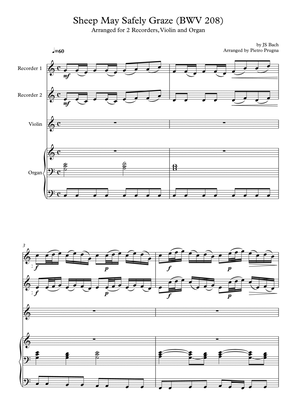 Sheep May Safely Graze (BWV 208) by JS Bach - arranged for 2 Recorders, Violin and Organ