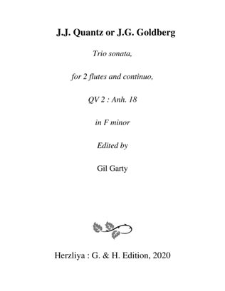 Book cover for Trio sonata QV 2 Anh. 18 for 2 flutes and continuo in F minor