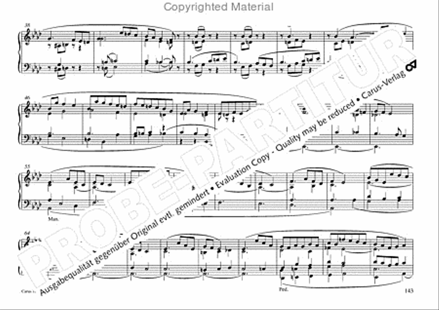 Freiburger Orgelbuch: Stammteil Organ Solo scores gallery preview page 144