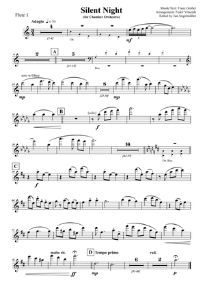 Silent Night / Stille Nacht (Chamber Orchestra+Solo Vocal, Score and Parts)