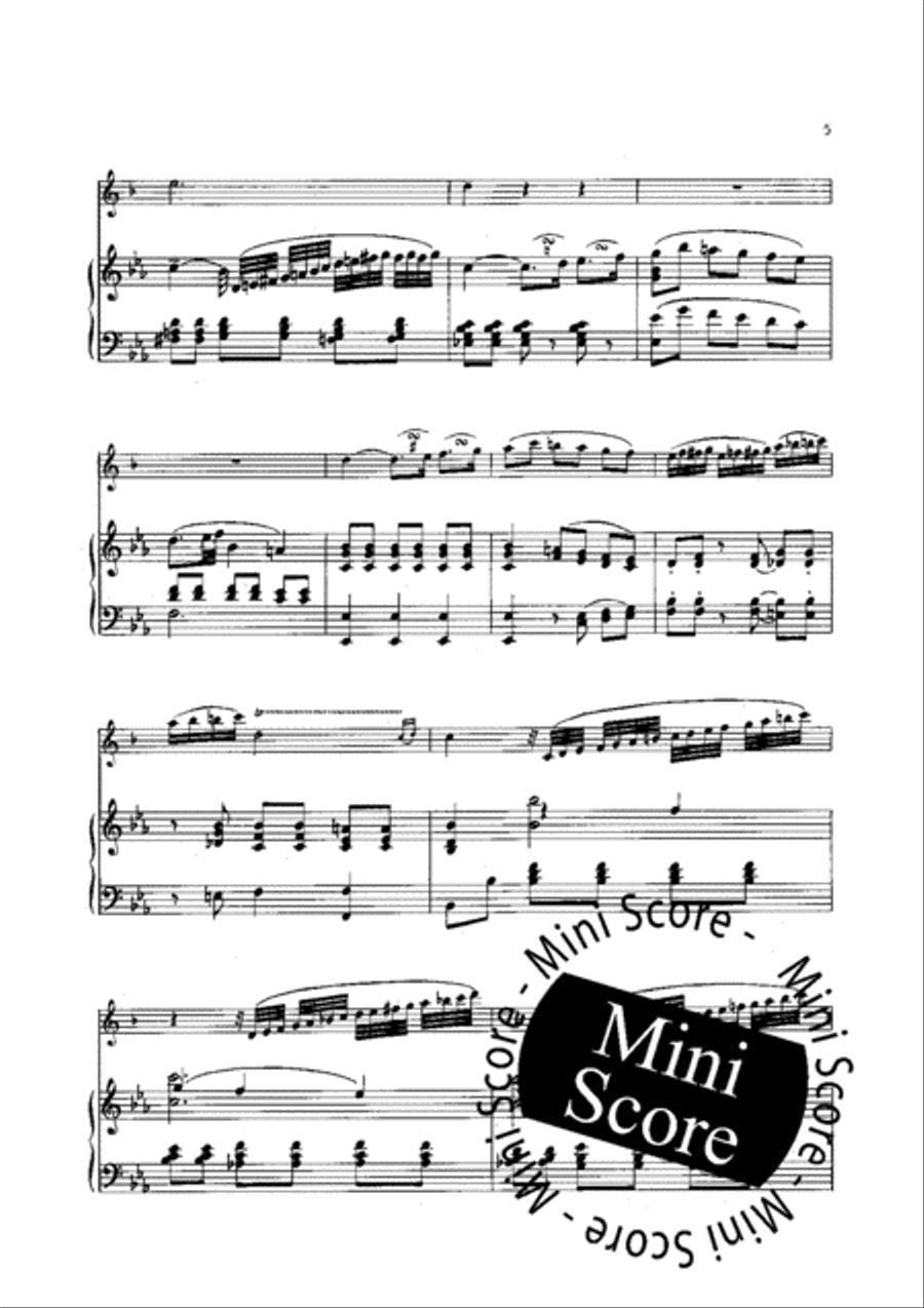 Larghetto Larghetto Bass Clarinet scores gallery preview page 7