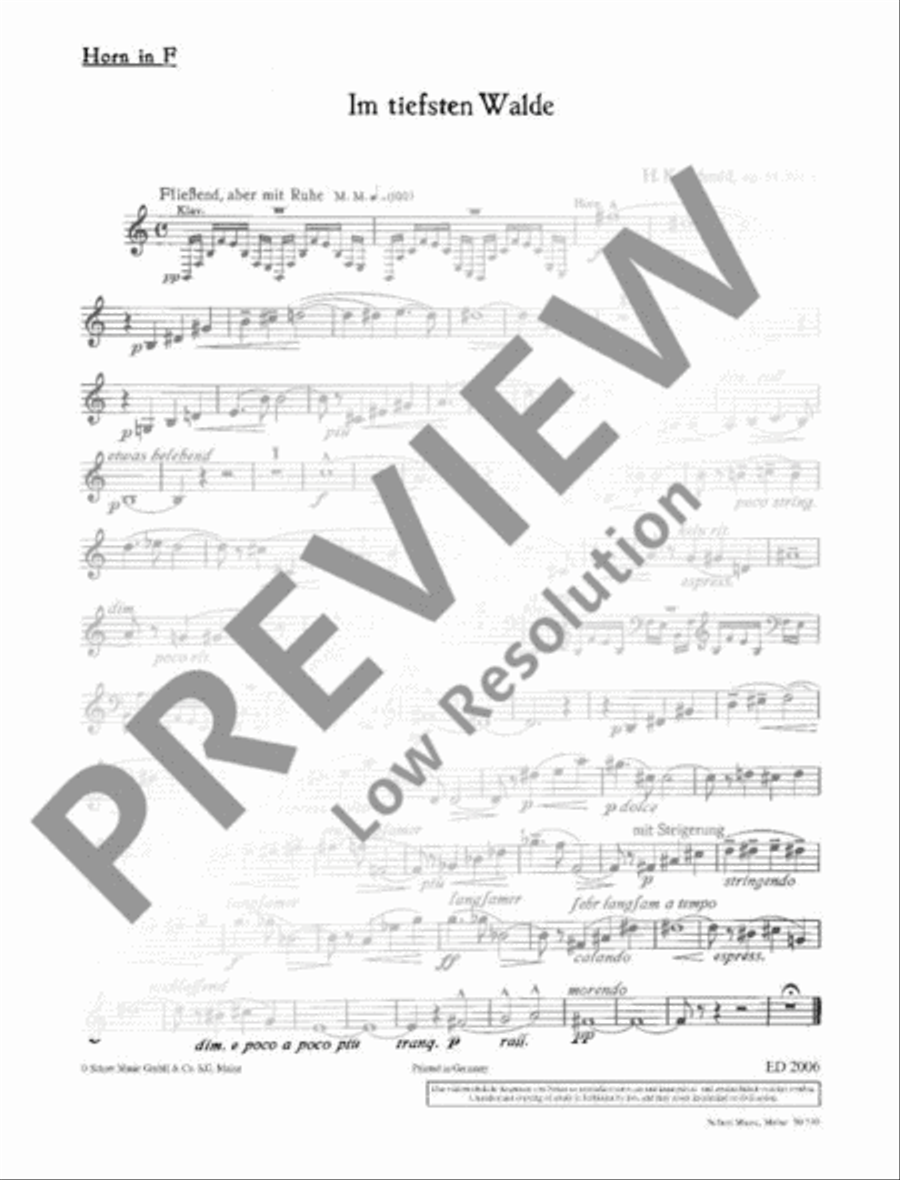 Im tiefsten Walde Im tiefsten Walde Piano Accompaniment scores gallery preview page 10