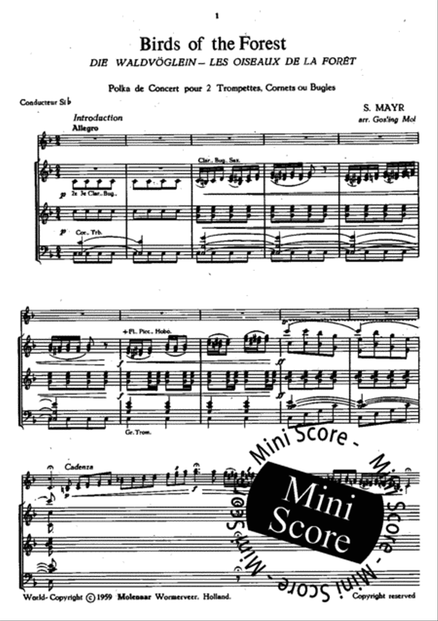 Birds of the Forest Birds of the Forest Fanfare Band scores gallery preview page 4