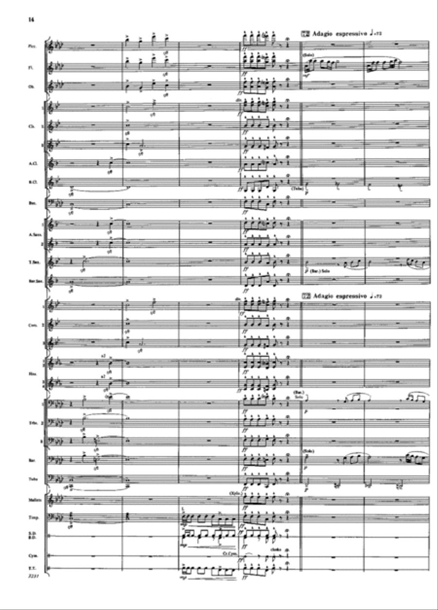 Aventura Concert Band scores gallery preview page 13
