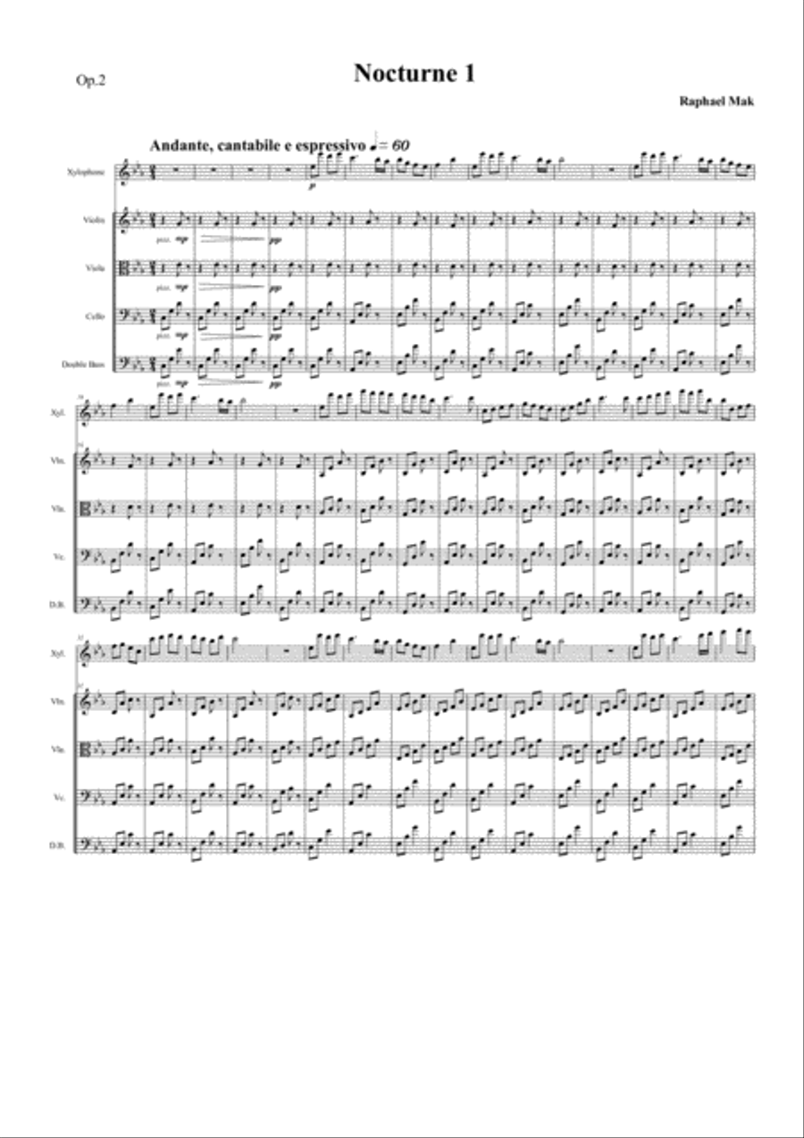 2 Nocturnes, op. 2 and 8 Full Orchestra scores gallery preview page 5
