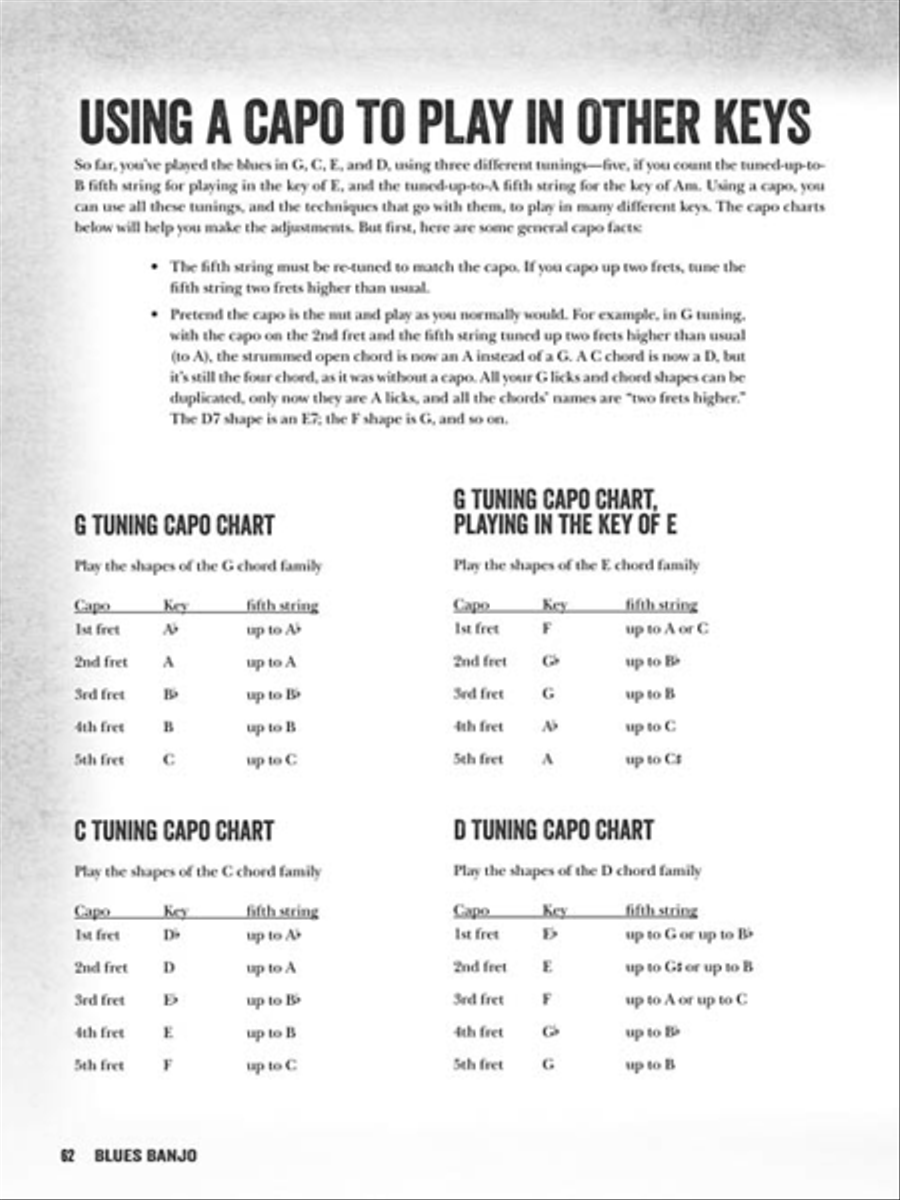 Blues Banjo Electric Guitar scores gallery preview page 8