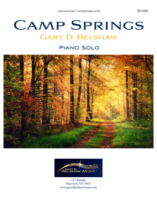 Book cover for Camp Springs