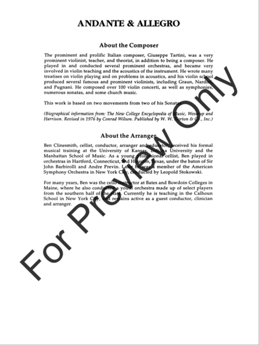 Andante and Allegro (Score) String Orchestra scores gallery preview page 3