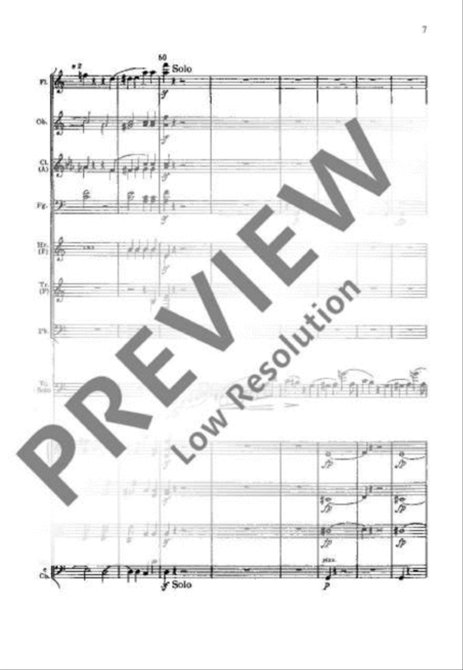 Concerto A minor Concerto A minor Orchestra scores gallery preview page 18