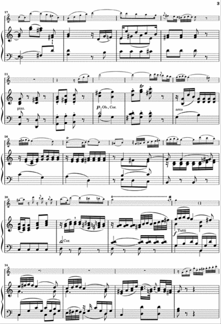 Andante for Flute and Orchestra C Major, K. 315 Flute Solo scores gallery preview page 3