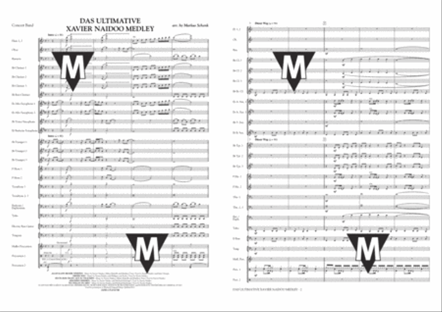 Das Ultimative Xavier Naidoo Medley Concert Band scores gallery preview page 2