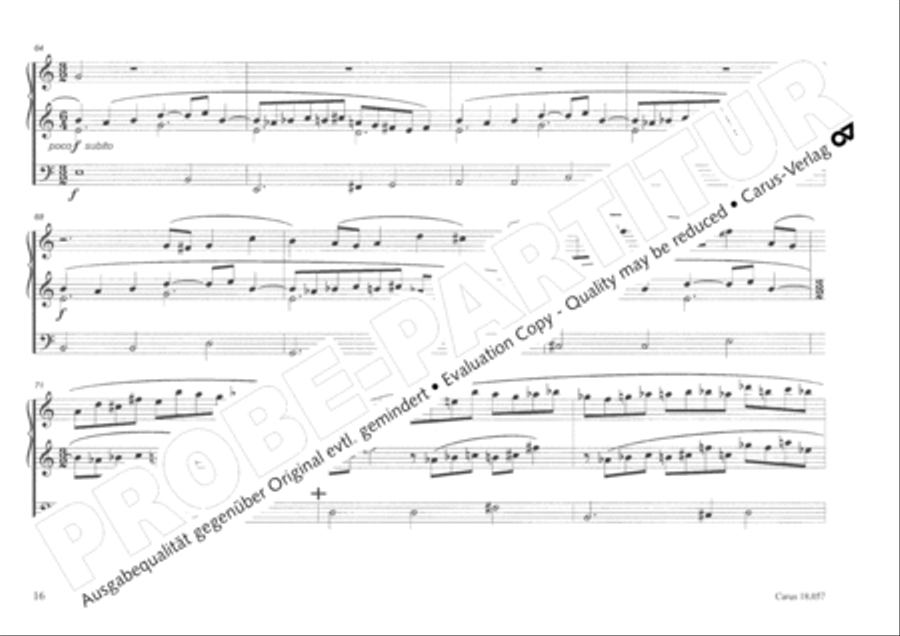 Toccata and Fugue Organ scores gallery preview page 17