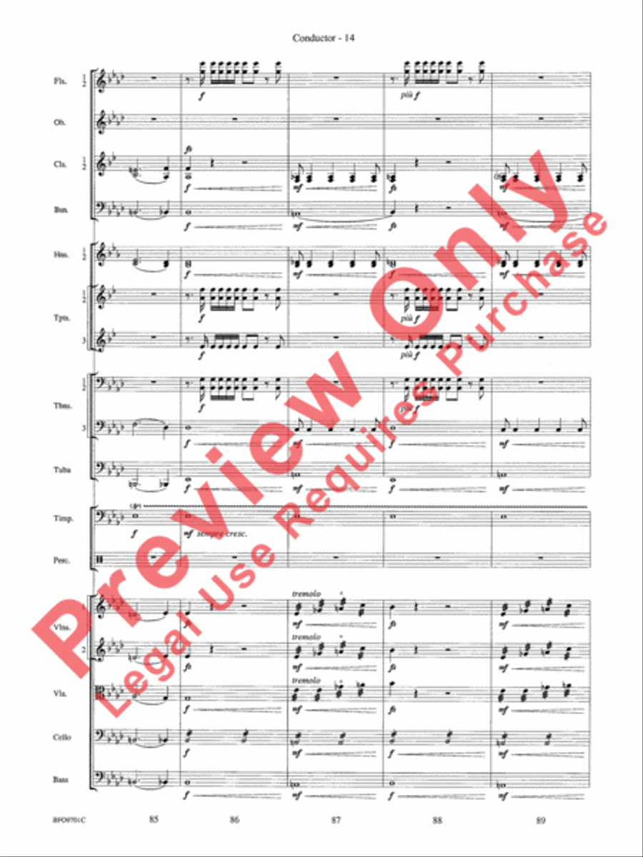 Finlandia Full Orchestra scores gallery preview page 17
