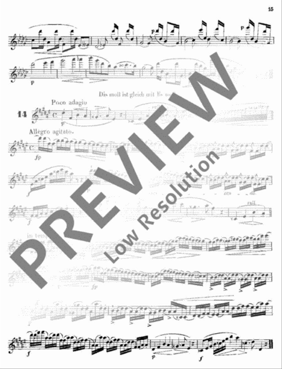 Melodic Exercises Flute scores gallery preview page 16
