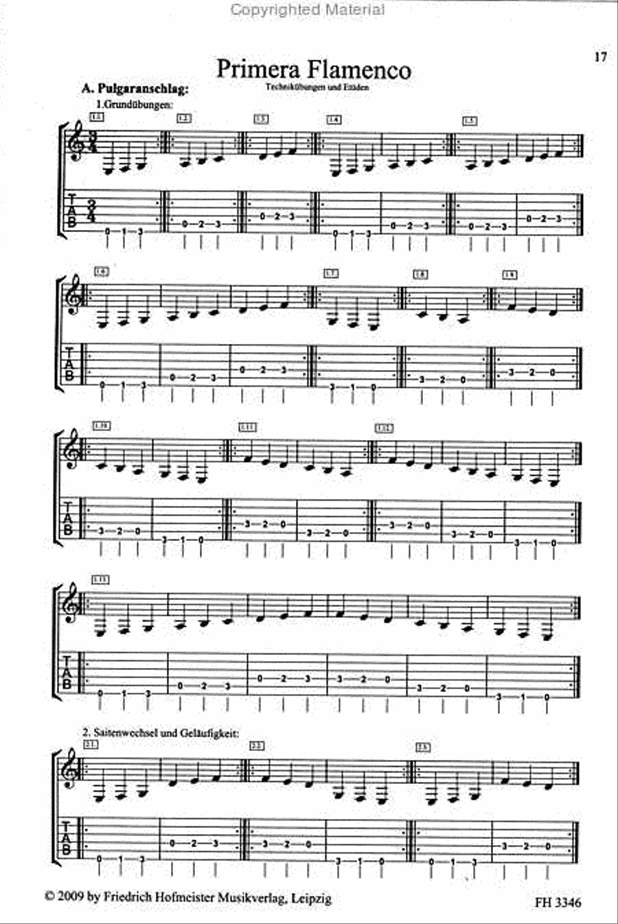 Bravo Flamenco (mit CD) Bravo Flamenco (mit CD) Flamenco Guitar scores gallery preview page 2
