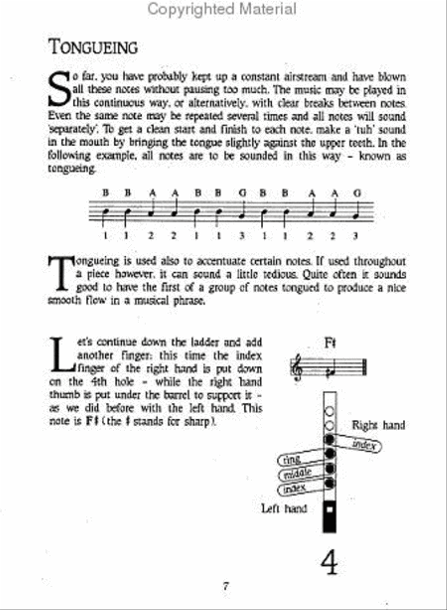 The Tin Whistle Book Tin Whistle scores gallery preview page 2