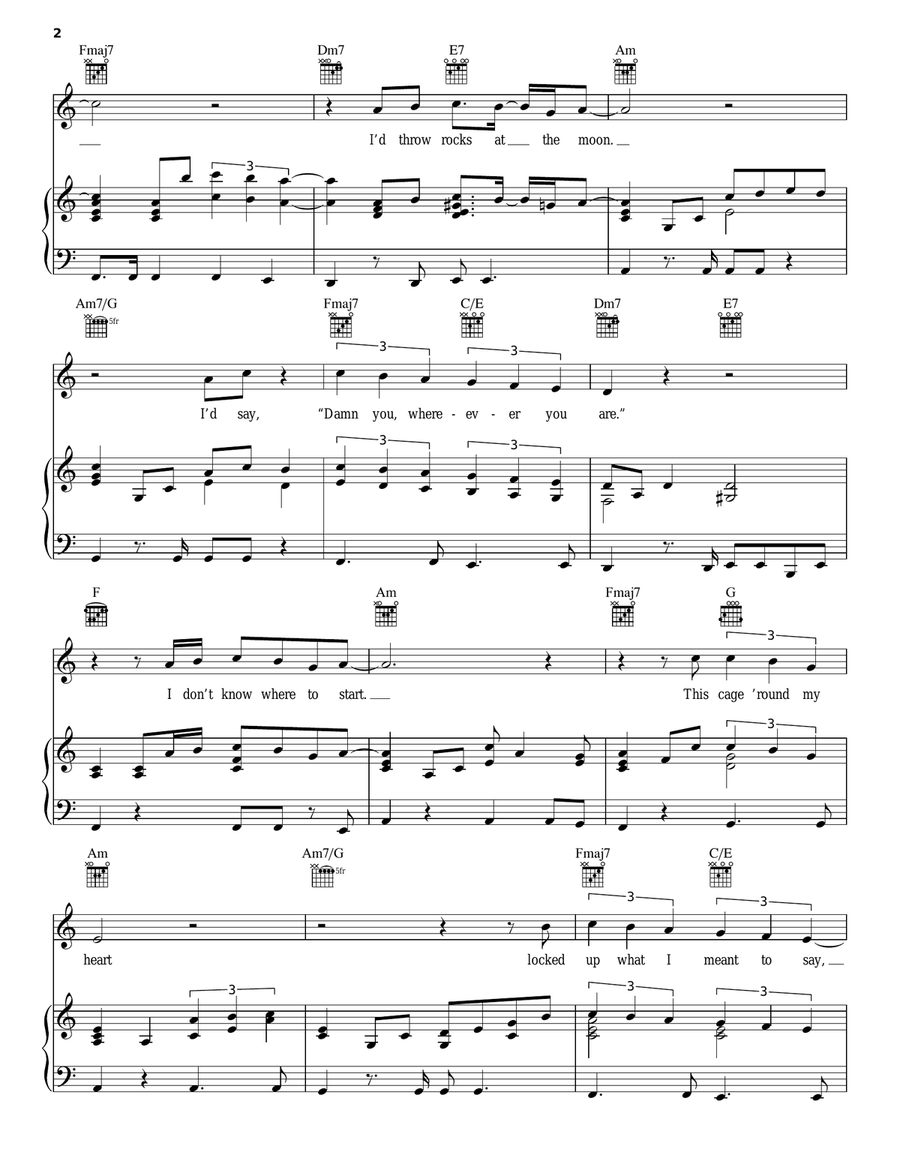 I Should Have Sent Roses Piano, Vocal, Guitar scores gallery preview page 2