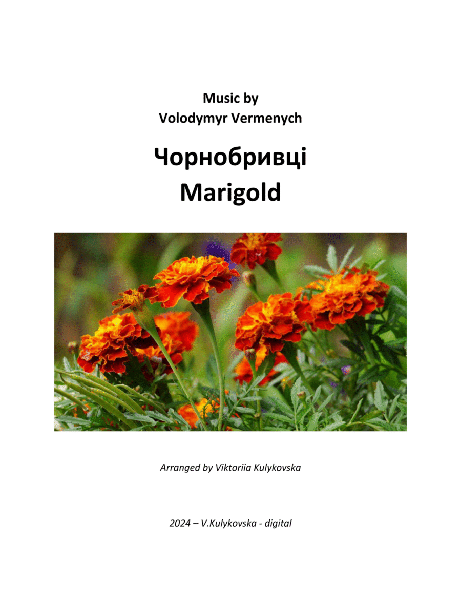 Чорнобривці / Marigold image number null
