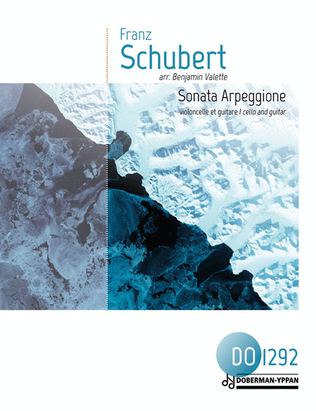 Book cover for Sonata Arpeggione