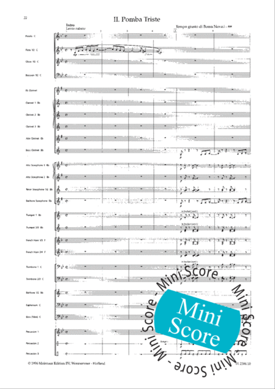 Os Passaros Do Brasil Concert Band scores gallery preview page 30