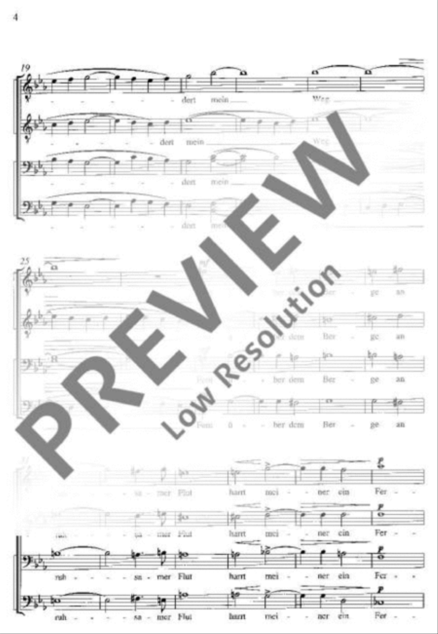 Durch Einsamkeiten Durch Einsamkeiten TTBB scores gallery preview page 5