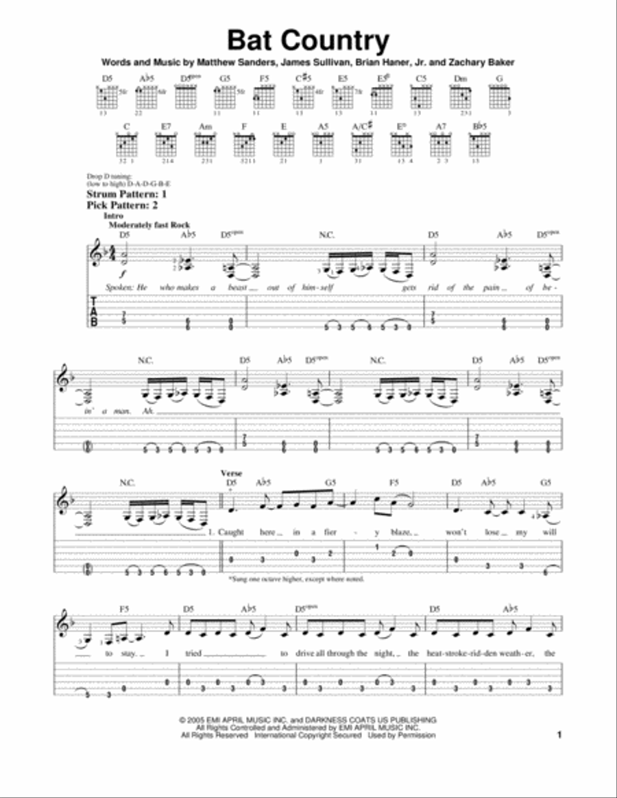 Bat Country Acoustic Guitar scores gallery preview page 1