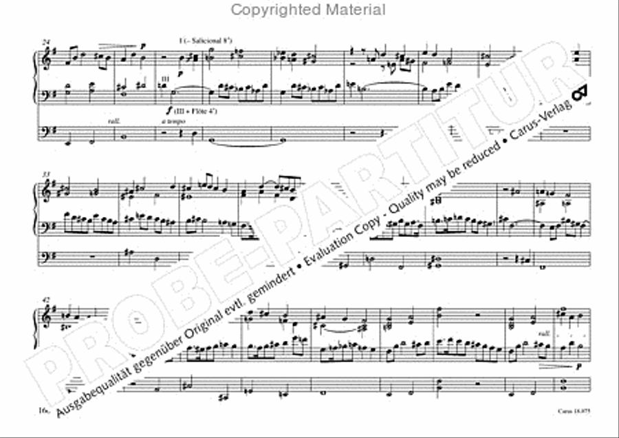Freiburger Orgelbuch: Stammteil Organ Solo scores gallery preview page 161